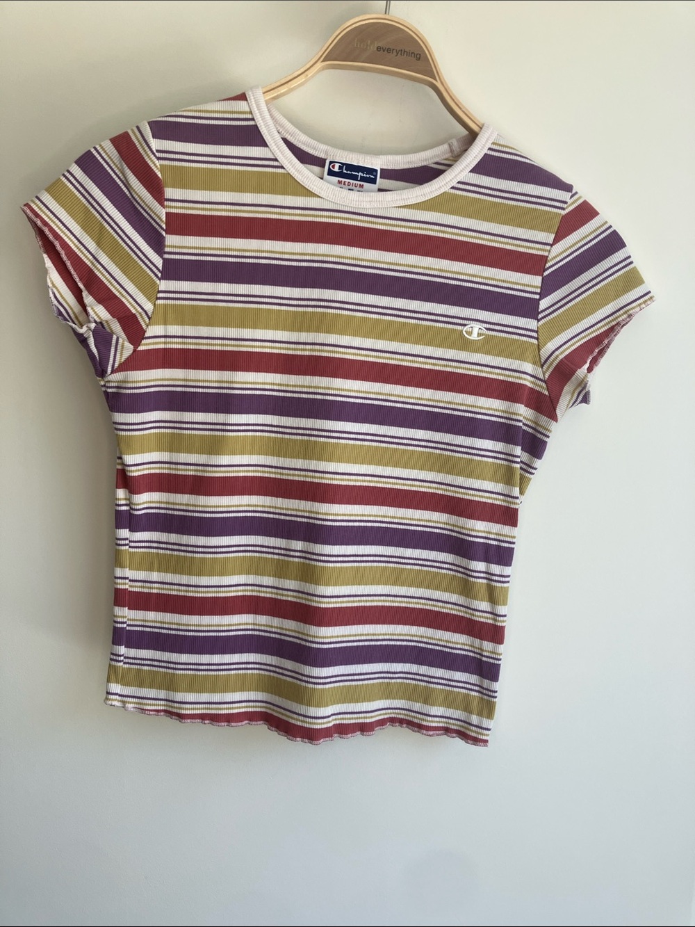 CHAMPION Striped Crop Tee in White Purple and Yellow, Retro 70’s Vibe Size M